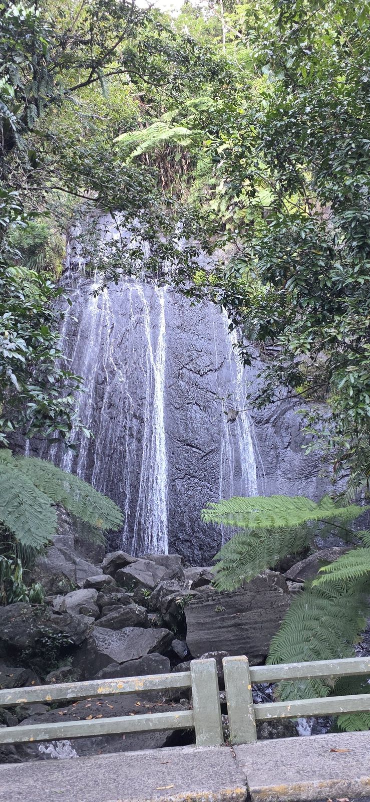 A waterfall surrounded by lush greenery on Tank and Sandra's travels